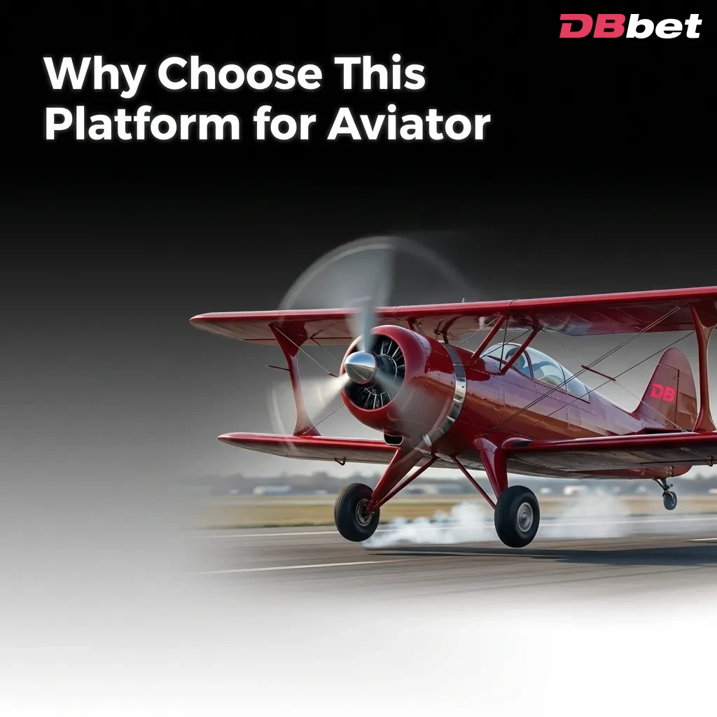 Platform benefits dashboard showing licensed operations, bonuses, mobile access, and customer support for Aviator game — DBbet in Bangladesh